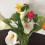 艾丽克林姆酒店 圣斯泰法诺迪马格拉
